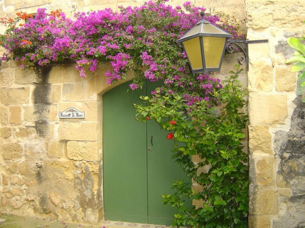 "Steves Villas" Villa Ta Rosi Xagħra Стая снимка